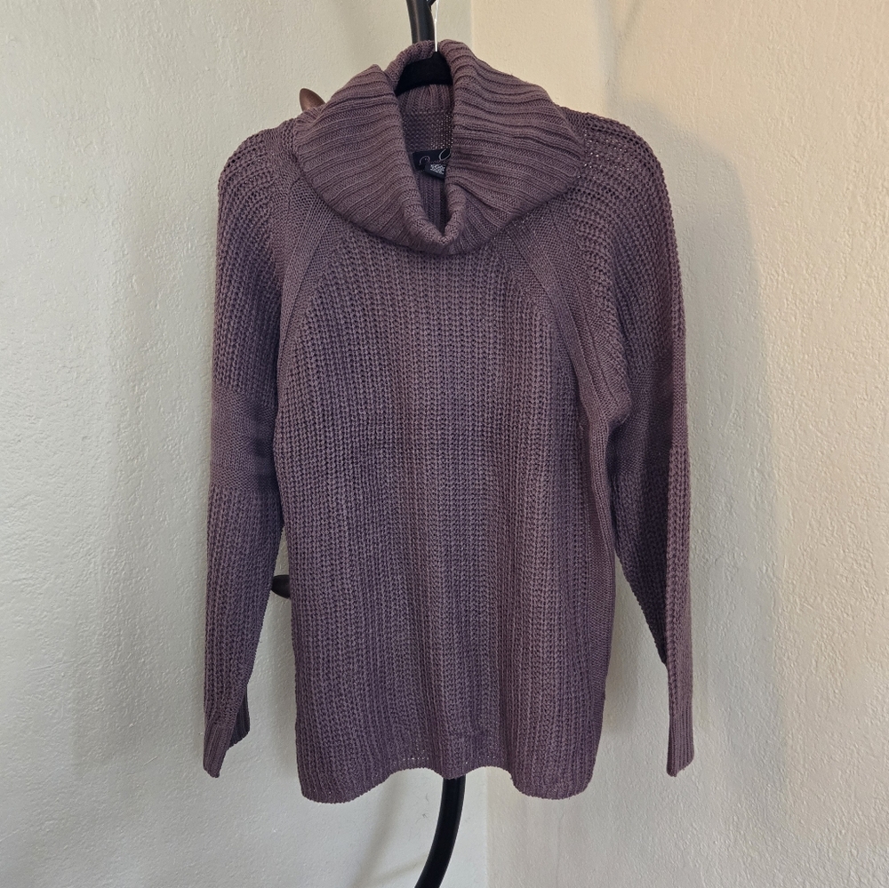 Purple Tutleneck Sweater